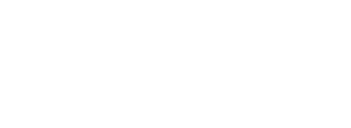 NurseCon at Sea LLC