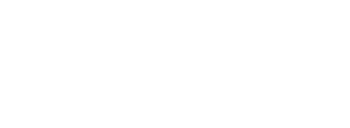 NurseCon at Sea LLC